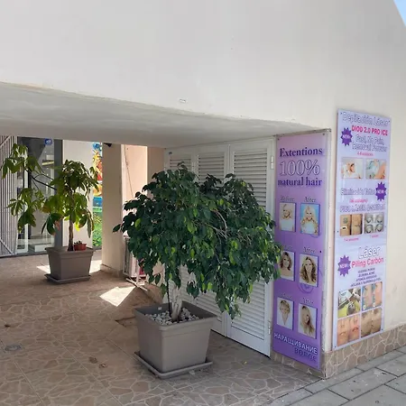 Orlando Wave アデヘ