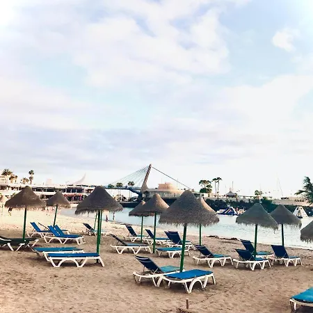 Orlando Wave * 阿德耶